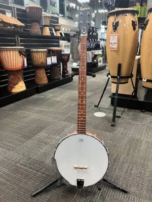 Epiphone - MB-100NACH